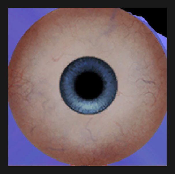 1777000177052.png