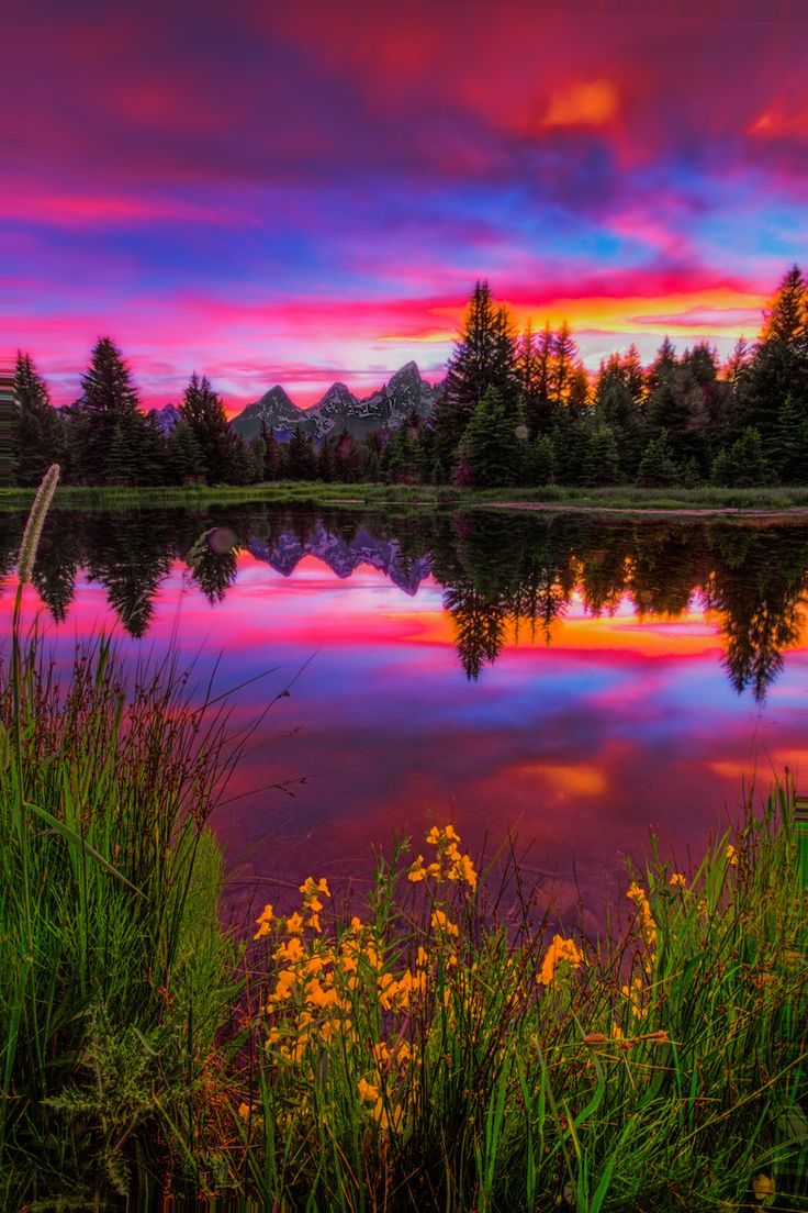 beautiful-landscape-photography-jackson-hole-wy-beaver-dam-sunset.jpg