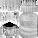 cmbod_teeth+tong_nor.tgn_0.png