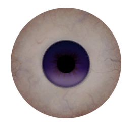 pc_eye_darkblue.tga.png