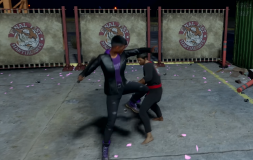 FinalFistMartialArts.png