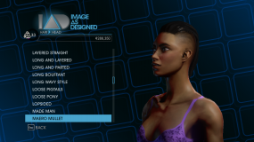 The Maero Mullet.png The Maero Mullet.png
