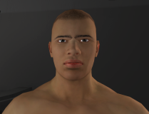 HumanisticSliders_4_Eyebrows.png