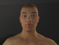 HumanisticSliders_14_StaticFaceMorph_Male.png