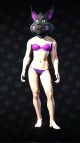 SRTTR 2025-08-14 22-00-48.png