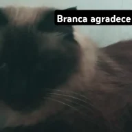 Marcio2026