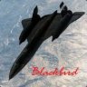 Blackbird